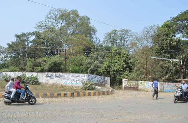 Remove the flex but let the iron frame stand