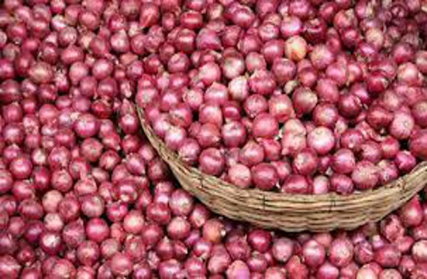 onion price today in madhya pradesh