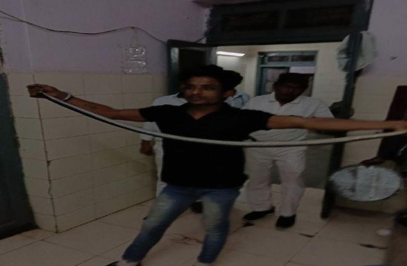 snake bite latest news