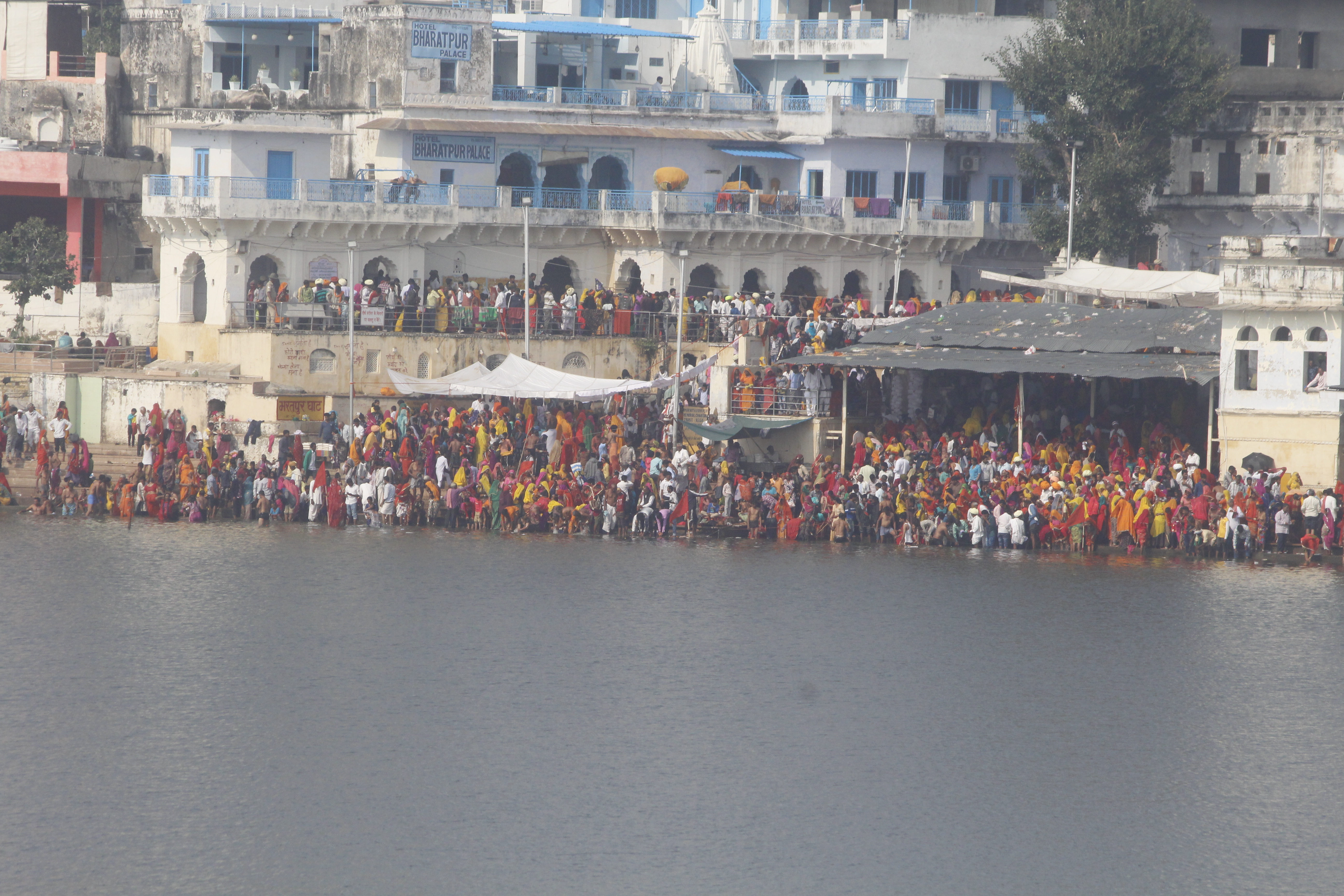 Ayodhya Verdict: पुष्कर मेले में हाई अलर्ट, चाक-चौबंद सुरक्षा