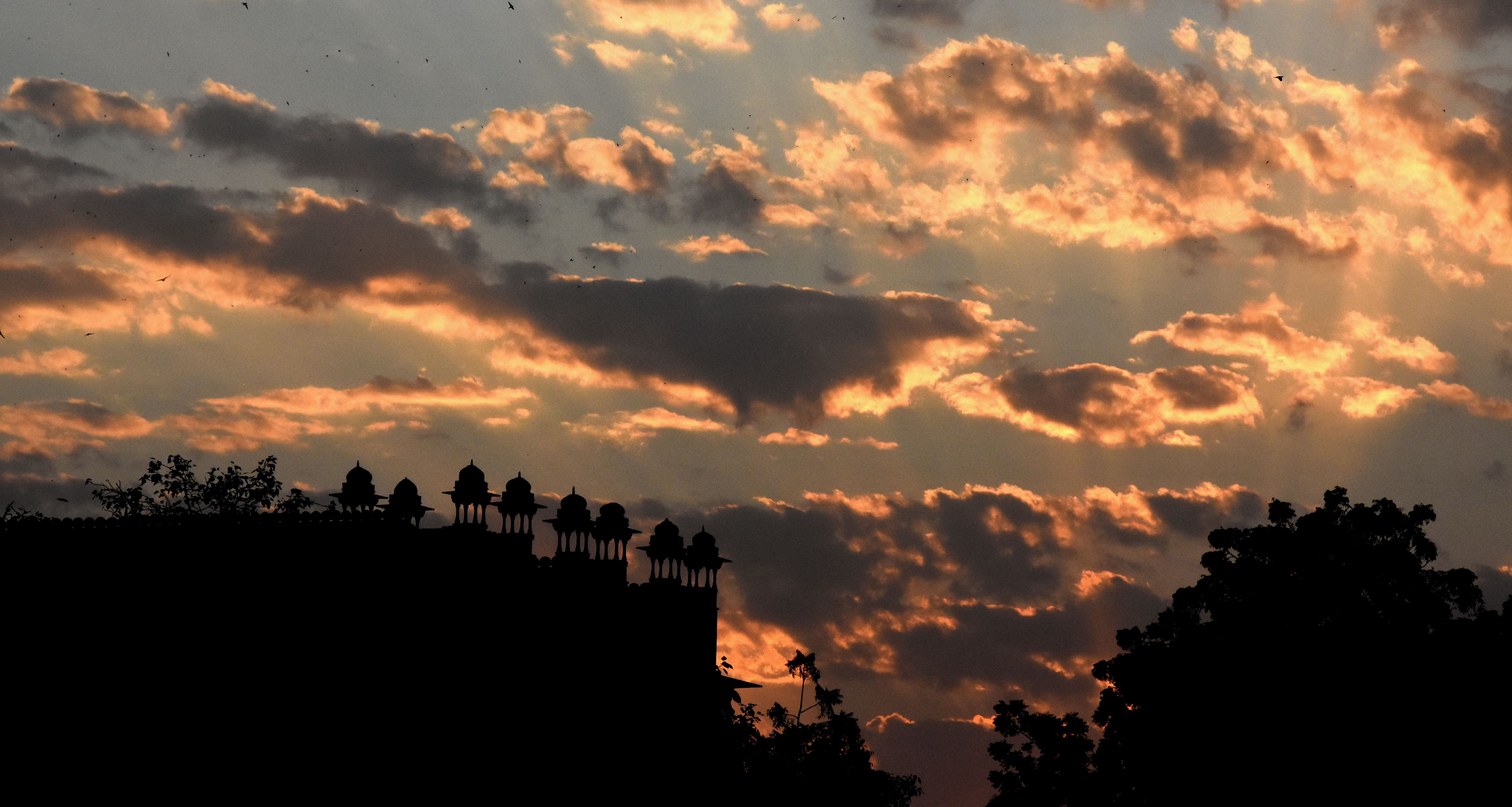 bikaner weather bikaner today Temperature