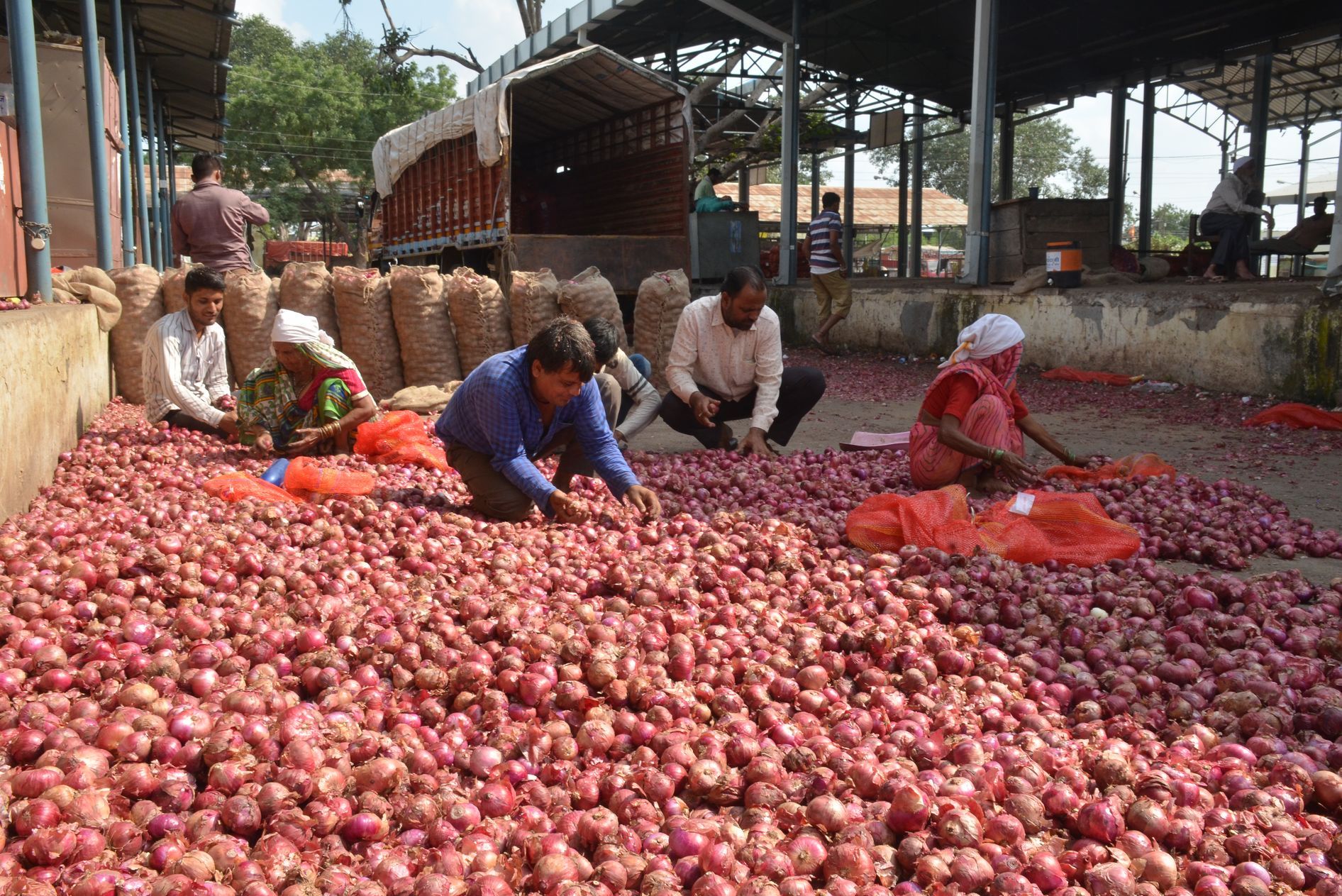 pyaj ke bhav 70 kg tk pahunche
