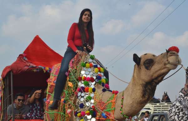 रेगिस्तान का जहाज ऊंट और अश्व प्रजातियों की खरीद-फरोख्त भी हो रही है।