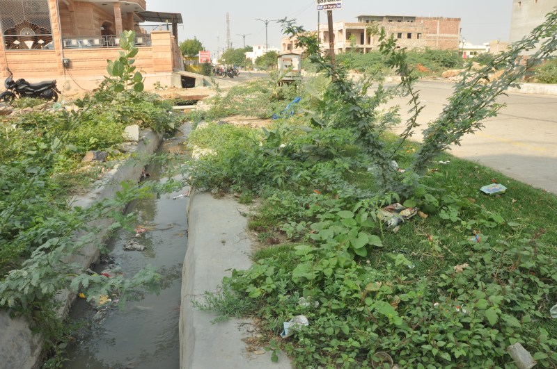 गली-मोहल्लों में समस्याओं का अंबार, पांच साल में नहीं हुआ समाधान