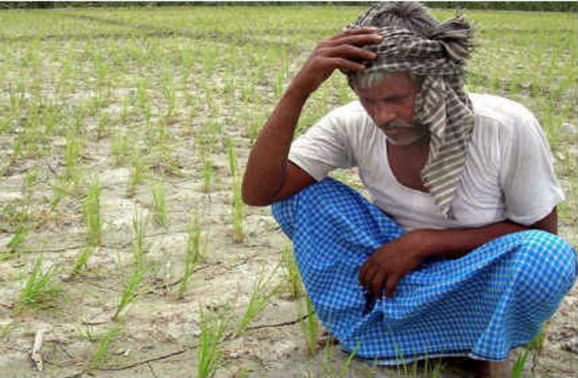 प्रदेश में किसानों को बेचे गए 950 से ज्यादा नकली खाद-बीज और पेस्टीसाइड के प्रोडक्ट