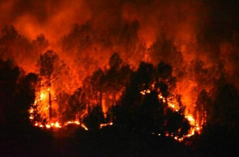 विशेषज्ञ का दावा, भारत से मानसून लौटने में देरी जंगलों में आग के लिए जिम्मेदार