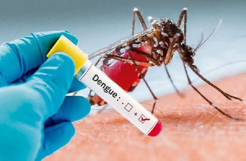 कोटा में डेंगू व स्क्रब टाइफस जैसी ख़तरनाक बीमारियां कर रही तांडव,सेम्पल लेने में लैब को आ रहा बुखार
