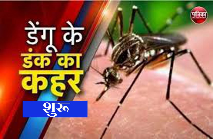 dengue spread in raipur