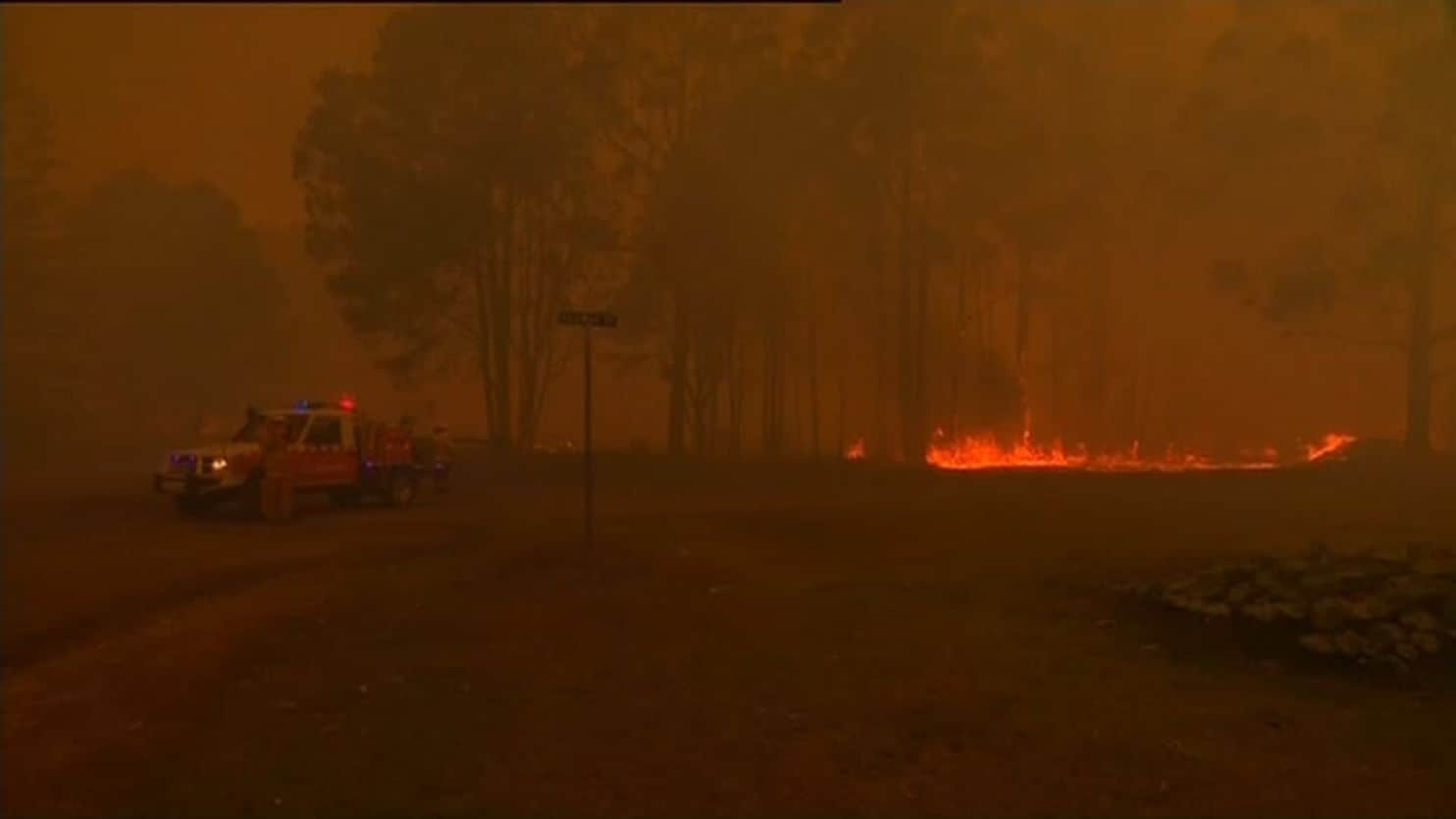 Forest Fires Australia : ऑस्ट्रेलिया के जंगलों में आग बेकाबू