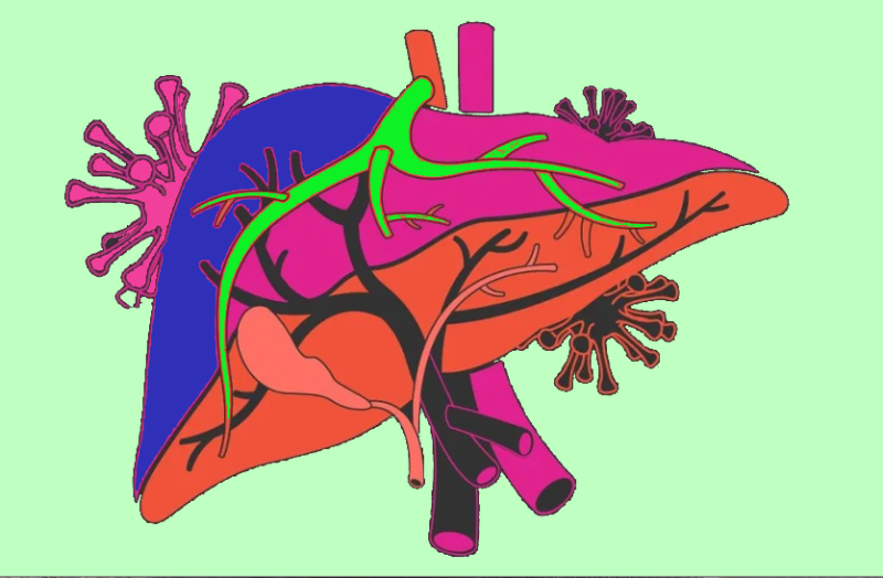 जानिए हेपेटाइटिस A, B, C, D, E से जुड़ी ये खास बातें