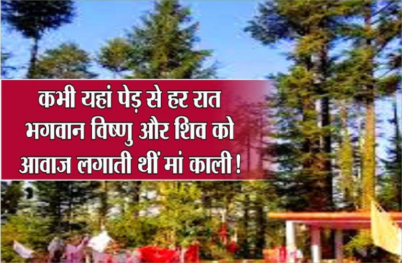 कभी इस पेड़ से हर रात को माता काली लगाती थीं, भगवान विष्णु और शिव को आवाज