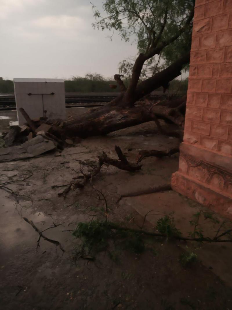 बाड़मेर में मौसम का तांडव, स्कूलों में अवकाश घोषित