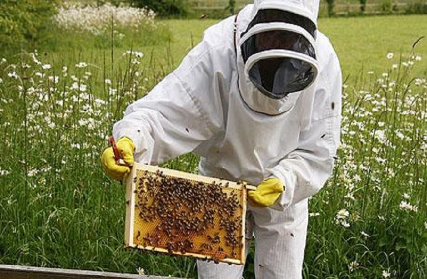 kheti kisani bee keeping Farmers Income Honey Production apiculture