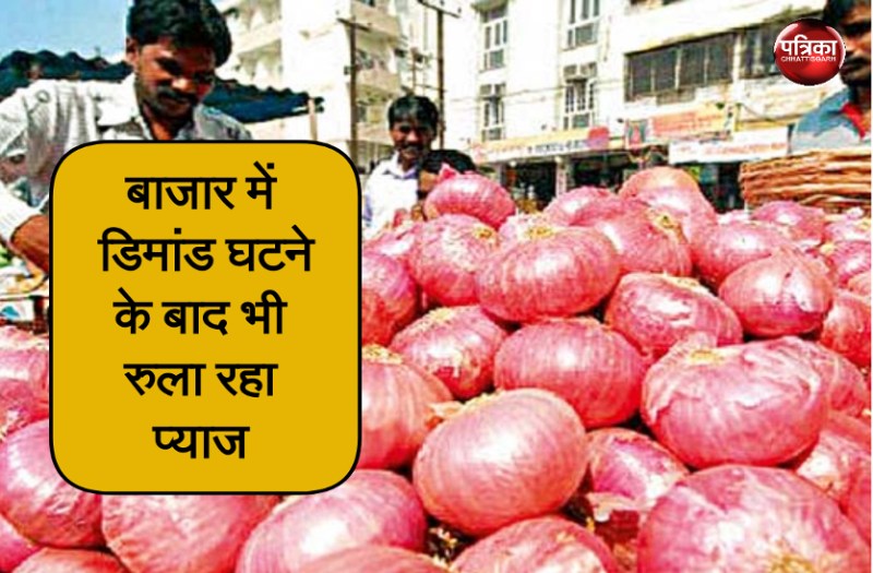 Onion Market