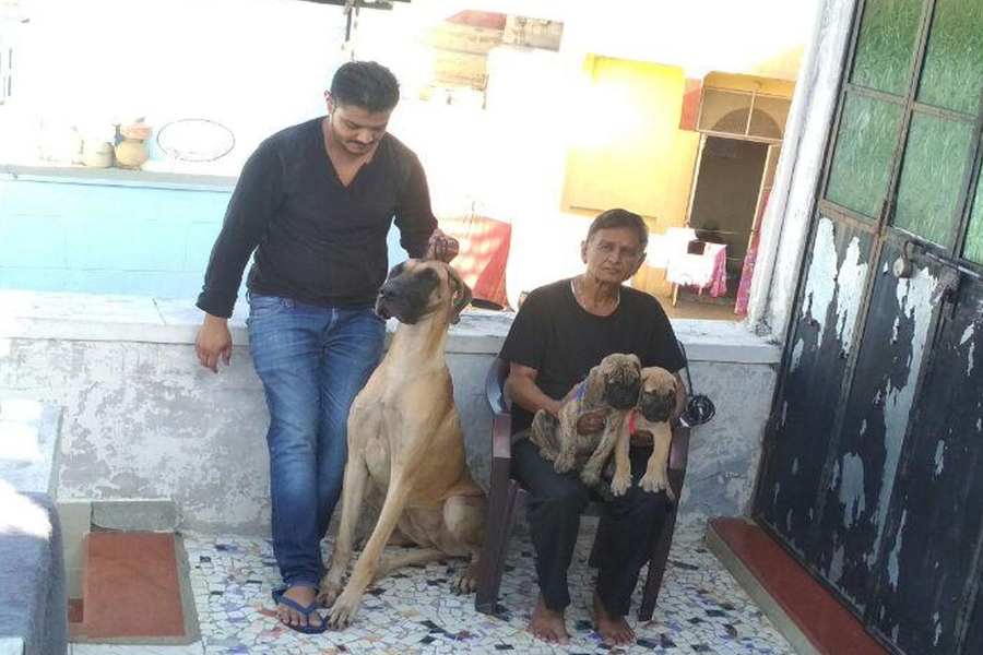 pet lovers in jodhpur are giving shelter to stray dogs and animals