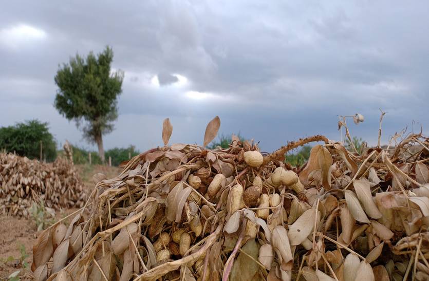 Rain in jodhpur rural area