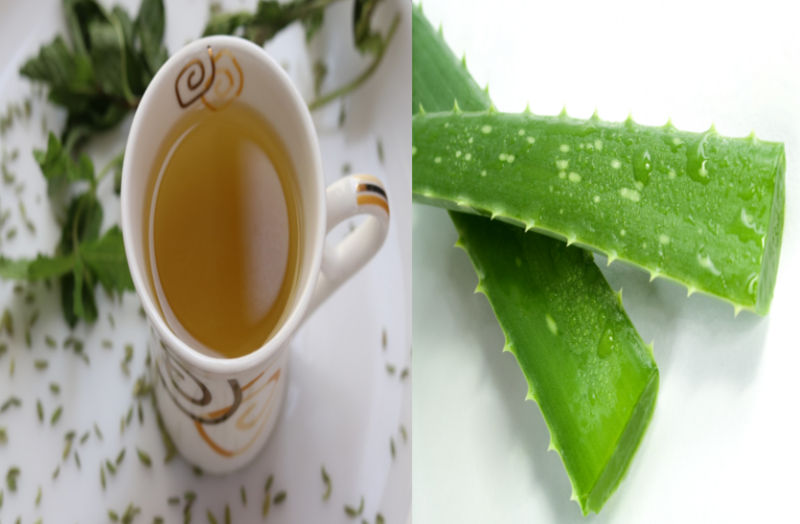 जानिए सौंफ की चाय और एलोवेरा के फायदे