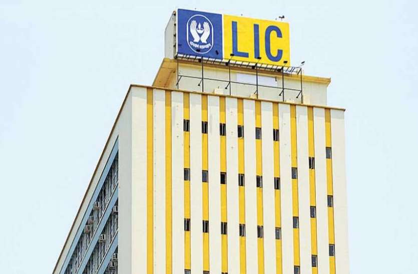 LIC will invest in stock market