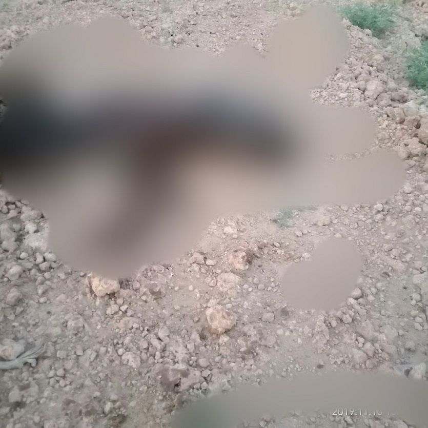 Skeleton of unknown person found in bushes in ramdevra