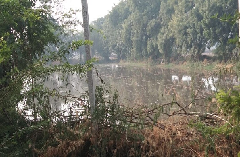 मानसरोवर बांध: विभाग की लापरवाही से नहर की पाळ टूटी, खेतों में भरा पानी