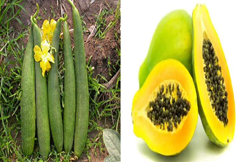 जानिए कच्चे पपीते और तोरई के फायदे