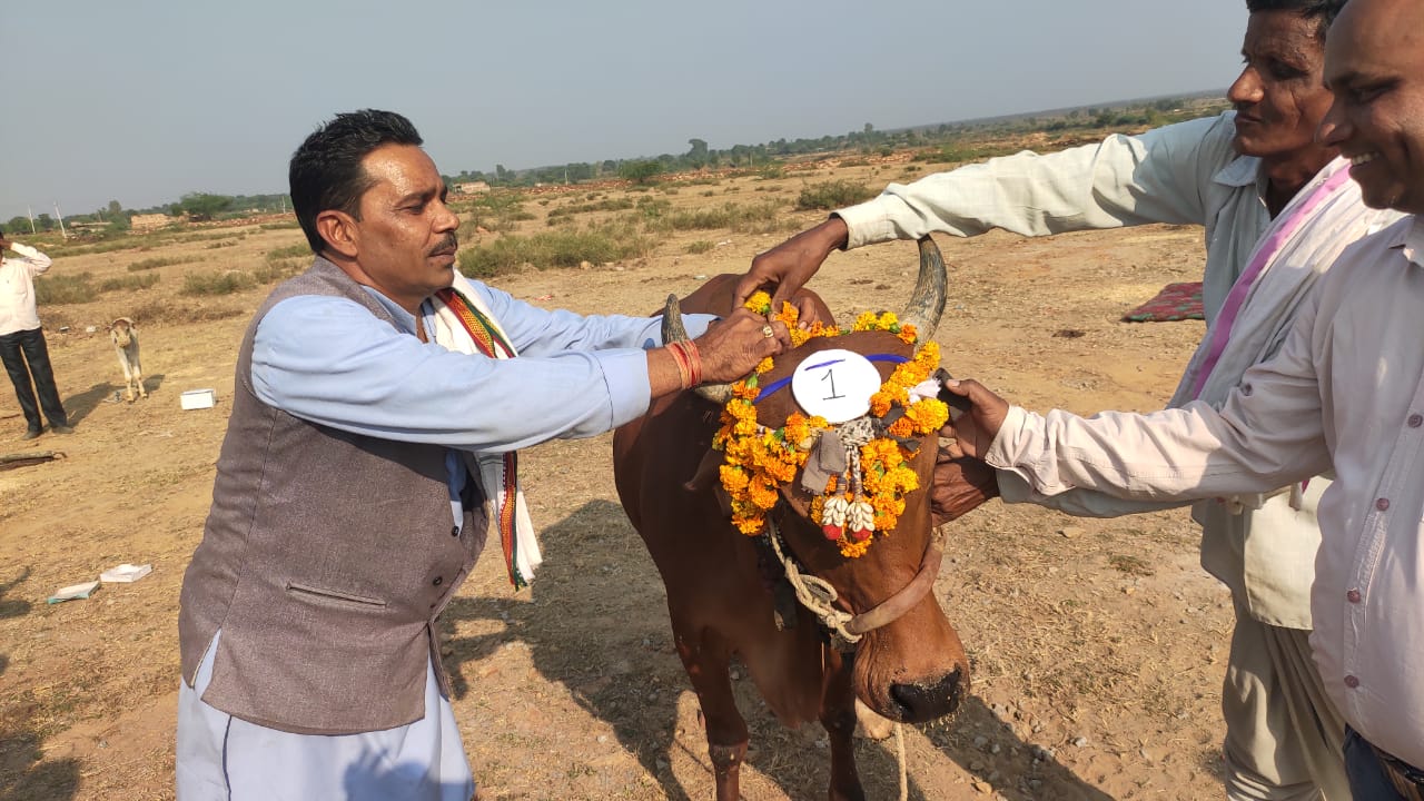 प्रीतम की गाय ने 16.32 किलो और दर्शन की भैंस ने 30 किलो दूध देकर जीते दस हजार
