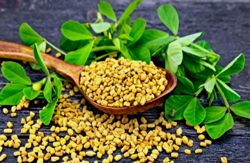 मेथी के दानों को करें रोजाना कि डाइट में शामिल,सेहत को मिलेंगें ये गजब के फायदे