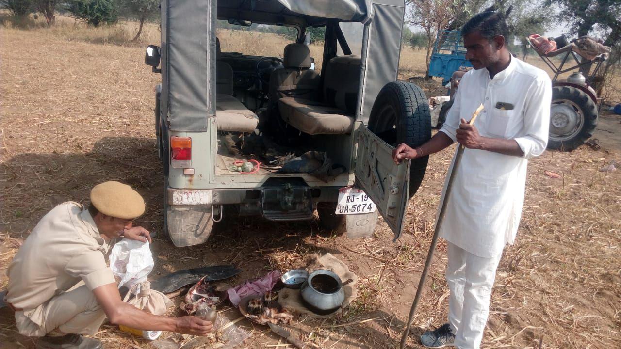 wild animal poachers arrested at bilara range in jodhpur