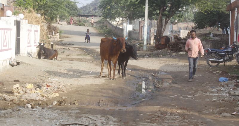 काश! मुख्यमंत्री संस्कृत कॉलेज जाते तो सुधर जाते सडक़ के हाल