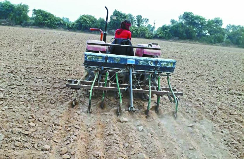 Farmers engaged in rabi sowing, returned to fields again