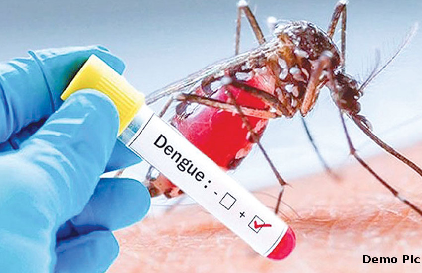 राजस्थान में बढ़ रहा डेंगू का कहर, लेकिन मरीजों और मृत्यु के मामले दबाने की कोशिश में चिकित्सा विभाग