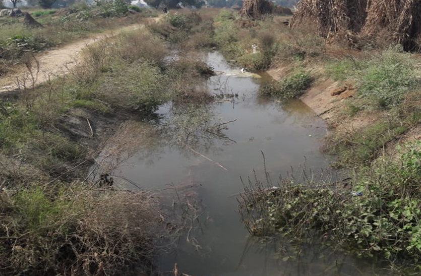 रजौरा कलां माइनर की पटरी टूटी, खेतों मेंं भरा पानी