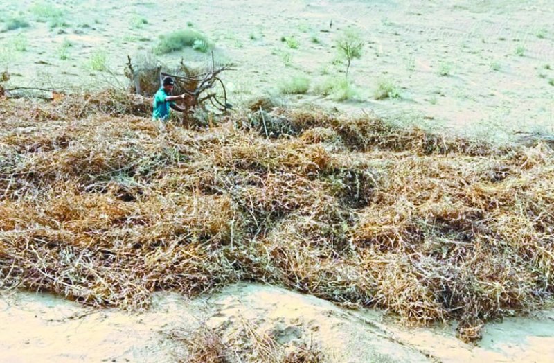 Farmers were unable to claim after the loss due to excess rainfall