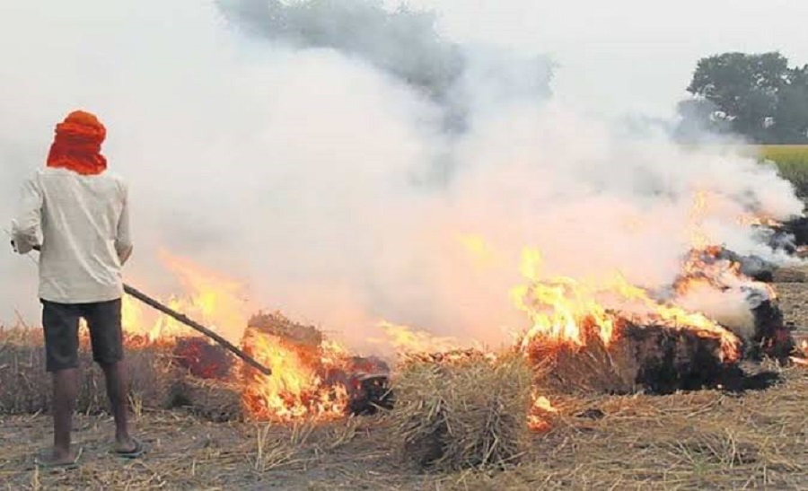 सीएम के शहर में पराली जलाने वाले 45 और डिप्टी सीएम के शहर में 12 किसानों पर दर्ज किया गया केस
