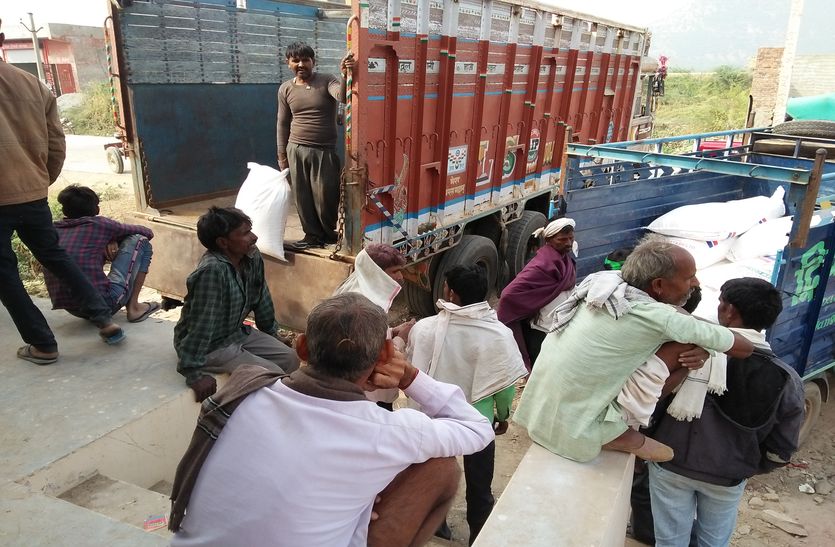 1000 टन आया यूरिया, किसानों को नहीं उठानी पड़ेगी किल्लत