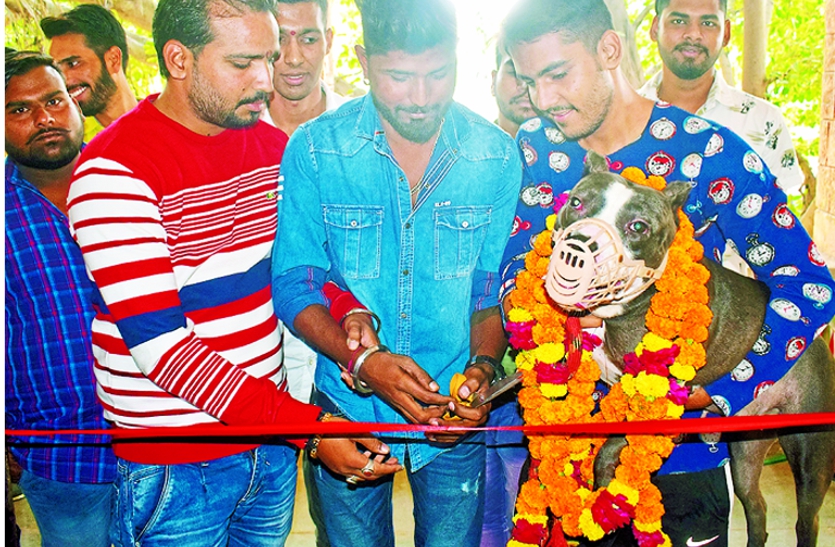 Dog inaugurated Students secretariat