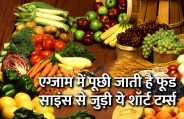 Education, interview, exam, online test, rojgar samachar, interview tips, online exam, Mock Test, general knowledge, GK, interview questions, jobs in hindi, rojgar, competition exam, mock test paper, sarkari job, questions Answers, GK mock test, Exam Guide, General Science Questions, Questions and answers, common general knowledge questions and answers, common general knowledge questions and answers, GK, short terms