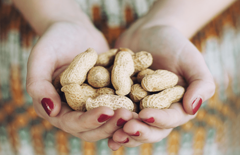 MSP procurement of peanuts came to a barrier
