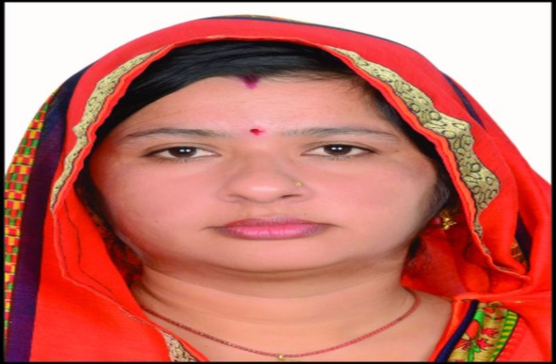 यहां 17 वोट वाली निर्दलीय प्रत्याशी भाजपा-कांग्रेस पर भारी, मिल सकता है बड़ा पद