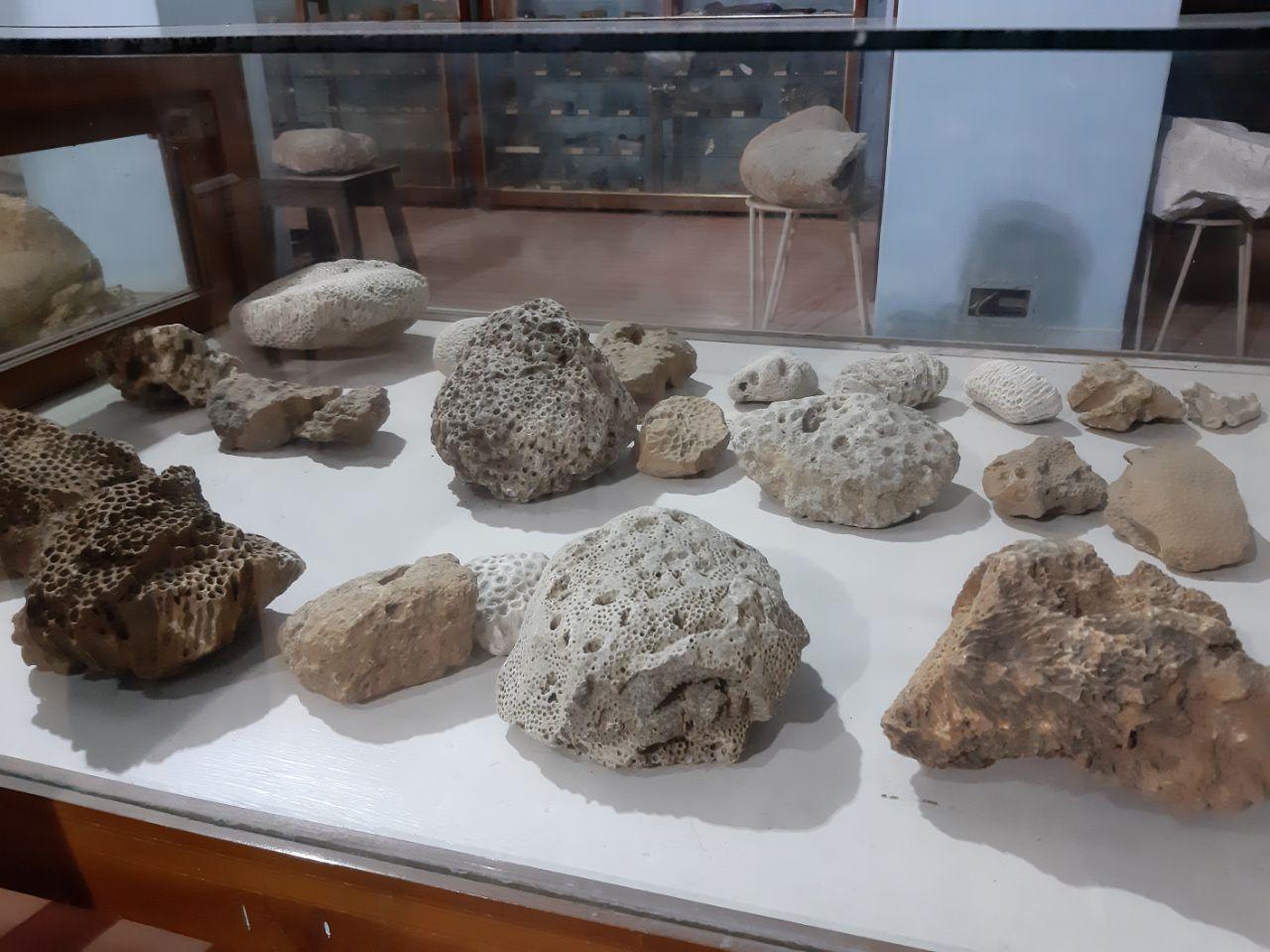 ये पत्थर सबूत है की 180 करोड़ साल पहले थार मरुस्थल की जगह था समुद्र