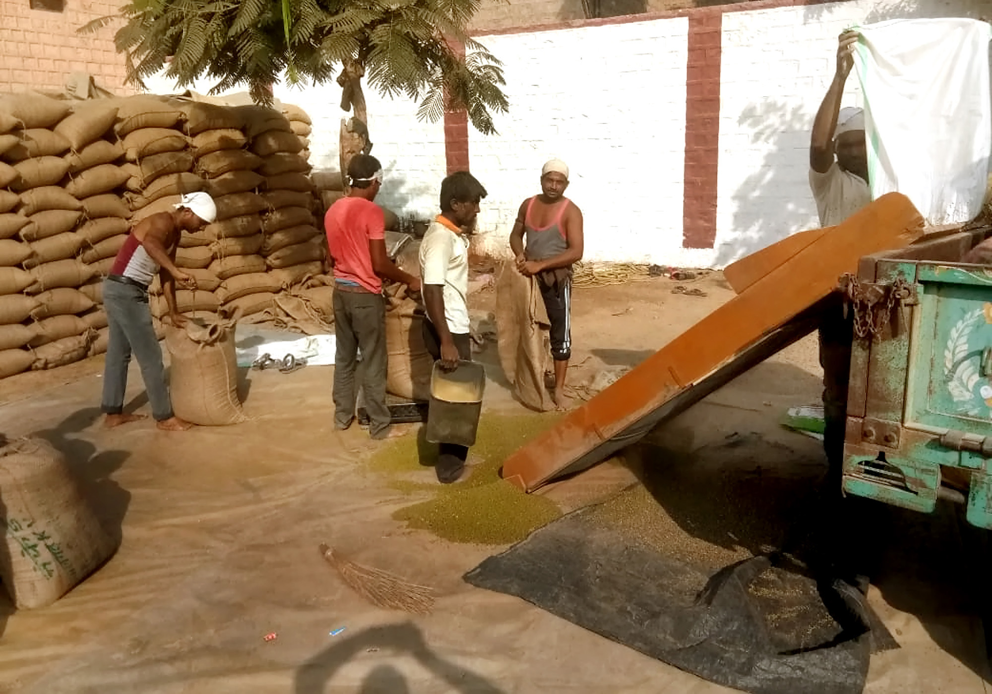 भोपालगढ़ केन्द्र पर 7 करोड़ रुपए की मूंग खरीद