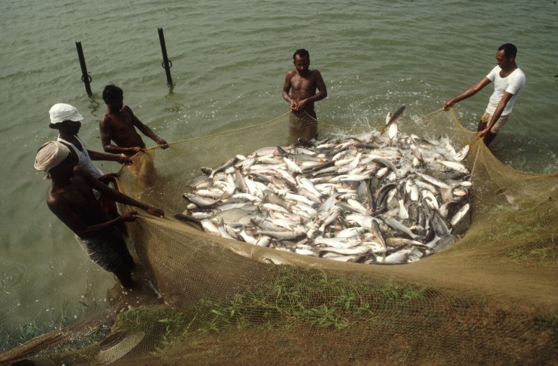 40,000 Crore to be Invested in Fisheries Sector in Next 5 Years
