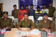 11 thieves revealed with Laddu Gopal statue