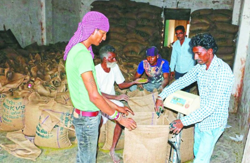 Start buying at support price, 295 quintal moong sold in 5 days