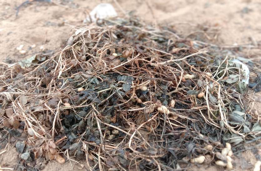 Issue of damage to crops due to hail