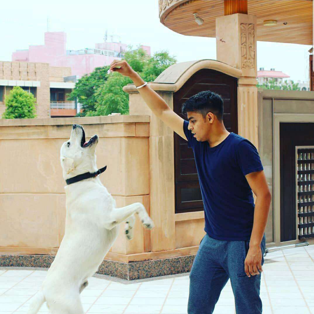 family lodged missing complaint of their pet dog in jodhpur