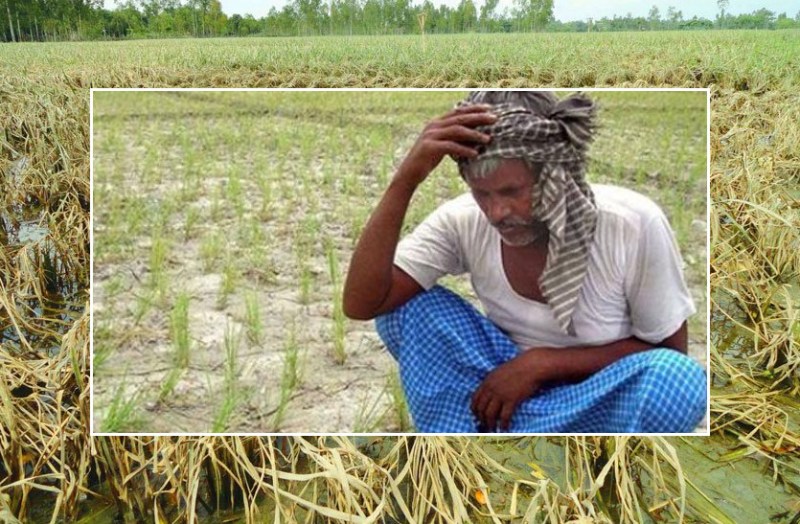 rajasthan_farmer.jpg