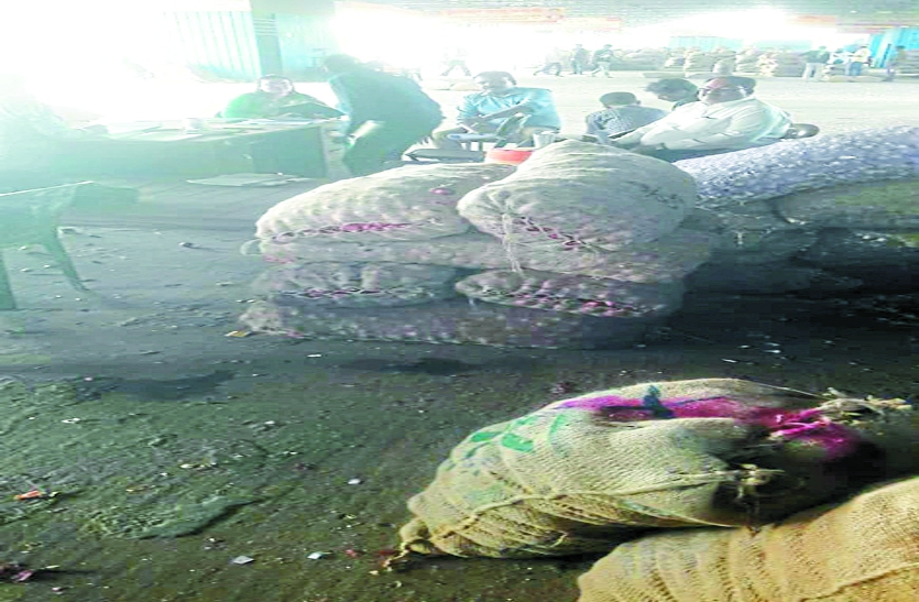 जमाखोरी: तीन थोक व्यापारियों से 145 क्विंटल प्याज जब्त की