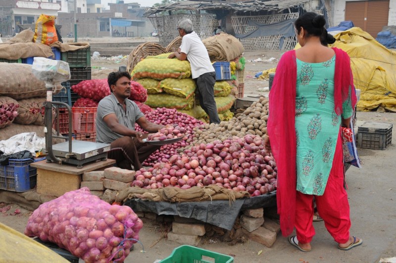 प्याज की नई फसल का उत्पादन कम करेगा प्याज के दाम