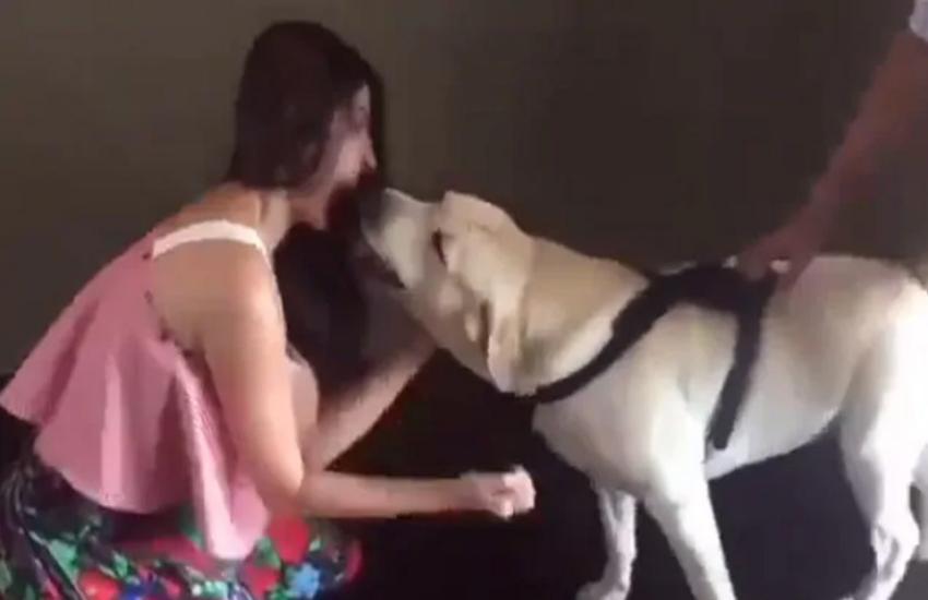 anushka-sharma-dog attack.jpg